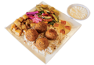 Falafel Platter